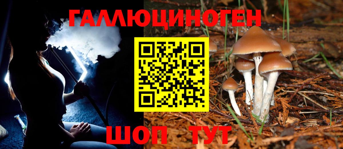 Псилоцибиновые грибы GOLDEN TEACHER Малгобек