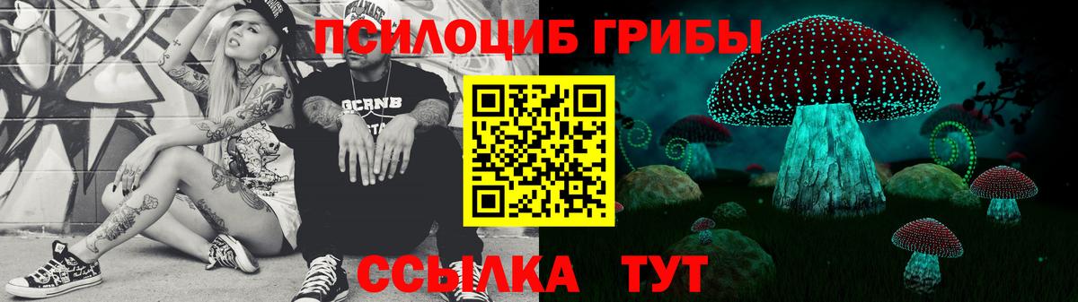Псилоцибиновые грибы MAGIC MUSHROOMS  Вход с VPN  Малгобек 
